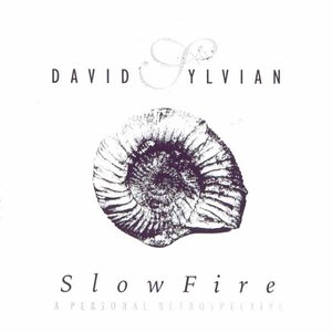 1995-11-07: Slowfire: Danforth Music Hall, Toronto, Canada