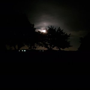 Consumption (Deluxe)