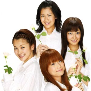タンポポ♯ 的头像