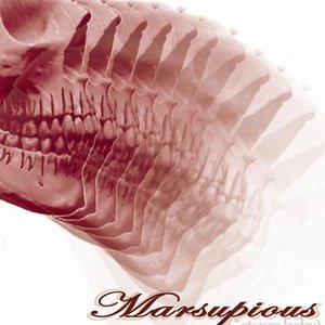 Avatar for Marsupious
