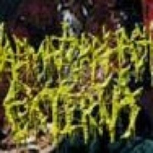 Avatar di Haematorrhachis Externa