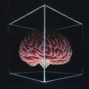 Box of Mine (Mind) - Single