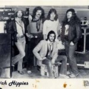 “Warren Haynes & The Rich Hippies”的封面