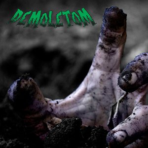 Demoletom 的头像