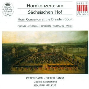 Concertos - Quantz, J.J. / Zelenka, J.D. / Heinichen, J.D. / Telemann, G.P. / Fasch, J.F.