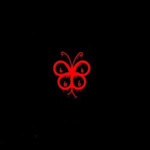 Fly - Single