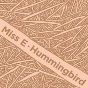 Hummingbird