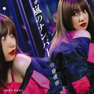 嵐のナンバー/花鳥風月 春夏秋冬(Special Edition) - EP