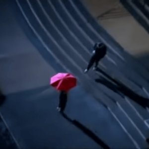 夜の愛
