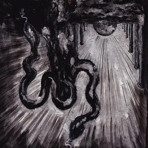 Charnel Winds / Verge 的头像