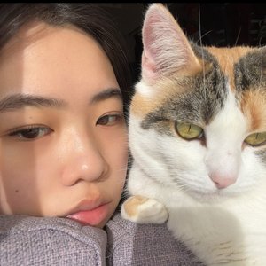 kimmyt 的头像