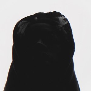 Cicada - EP