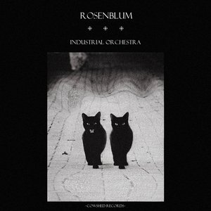 Rosenblum 的头像