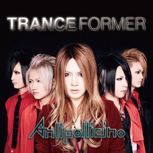 Labyrinth cover