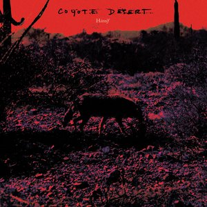 coyote desert