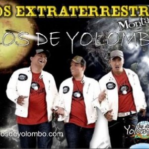 los de yolombo 的头像