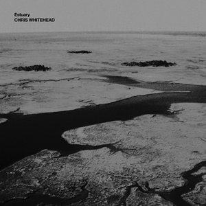 Estuary