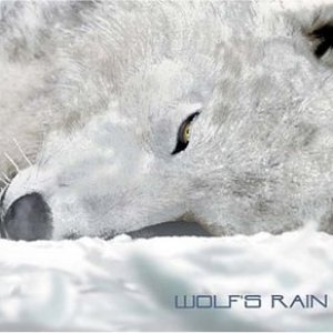 Avatar for Wolf`s Rain