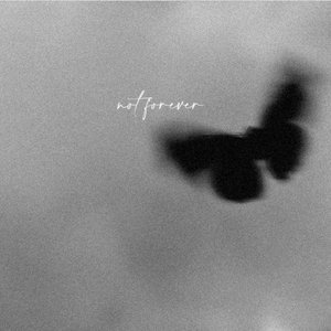 Not Forever - Single