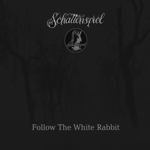 Follow the white Rabbit