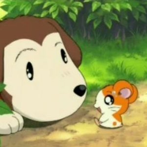 sath4 的头像