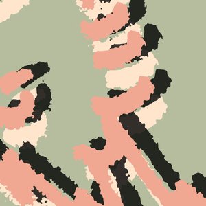 Shielding 的头像