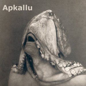 Image for 'Apkallu'