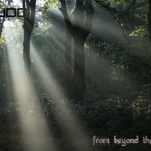 From Beyond the Thicket