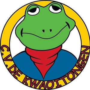 CV De Kwaoitongen 的头像