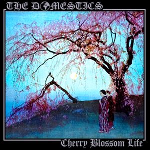 Cherry Blossom Life