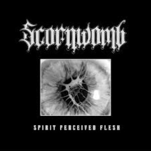 Spirit Perceived Flesh