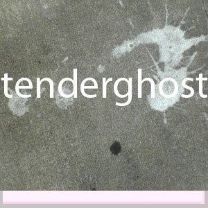 tenderghost: demo