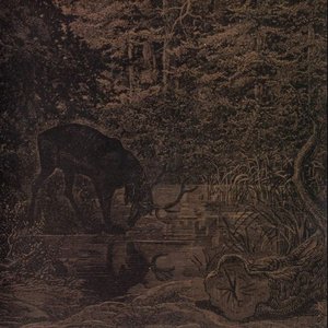 Of Stone, Wind, & Pillor
