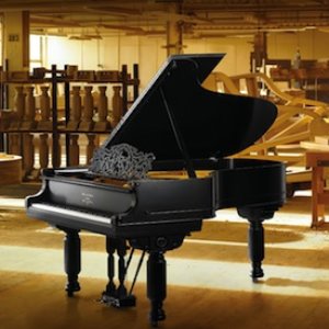 Piano Z. 的头像