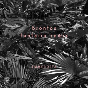 Brontos (Tontario remix)