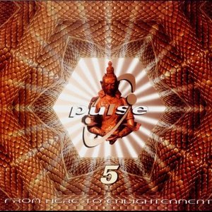 Pulse 5: From Here to Enlightenment (disc 3: Turntable Mix CD)