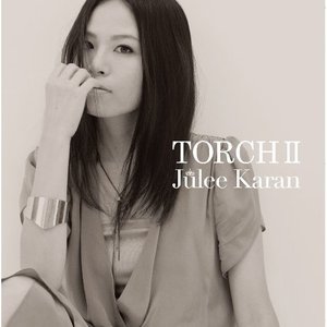 TORCH Ⅱ