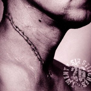 26 Stitches 的头像