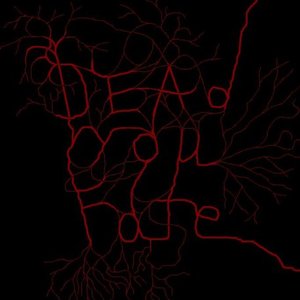 Deadyoufate 的头像