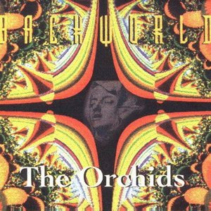 The Orchids