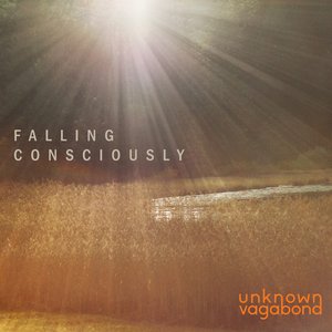 Falling Consciously