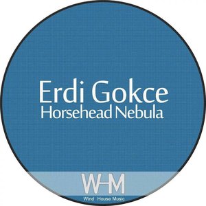 Erdi Gökce 的头像