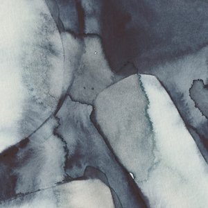 Echolocation (feat. Cosmo Sheldrake) - Single