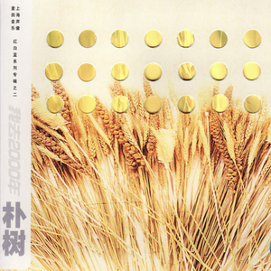我去2000年 cover