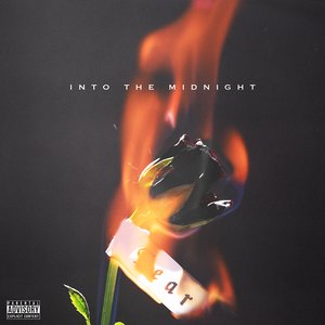 Into the Midnight - Single