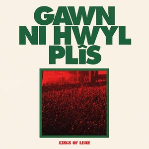 Gawn Ni Hwyl Plîs