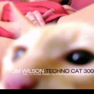 Tom Wilson - Techno Cat 3002 - Zortam Music