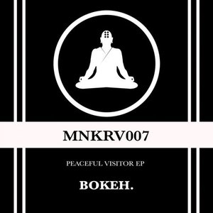 Peaceful Visitor EP