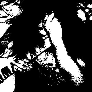 Avatar for Anarchic Destruction
