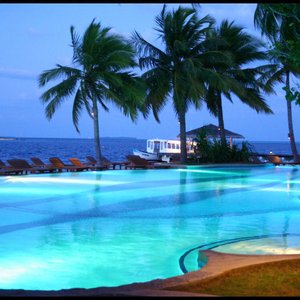 CoolSwimminPool 的头像